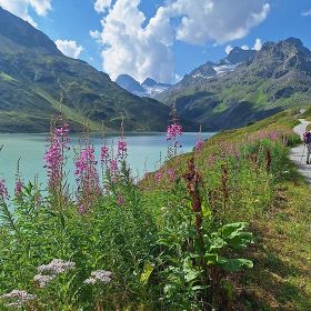 silvretta11kl