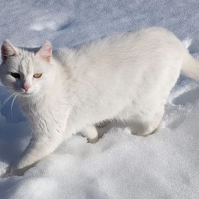 2026_bregenz_fluh6kl